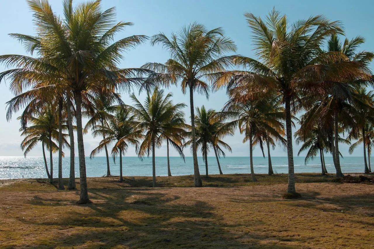 Pousada Caju Marinho - Pe Na Areia Em Barra Velha, Caraiva Bed & Breakfast Porto Seguro 0*,